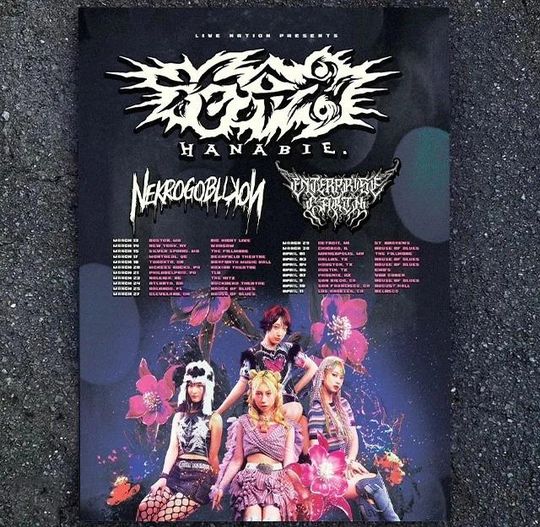 Discover HOT! Hanabie North American Tour Spring 2026 Poster