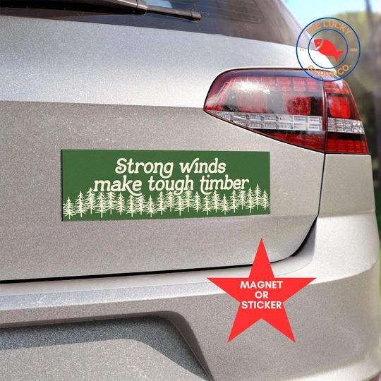 Discover strong winds make tough timber bumper sticker, liberal car magnet, save our public parks, FDT sticker, with fear for our democracy I dissent