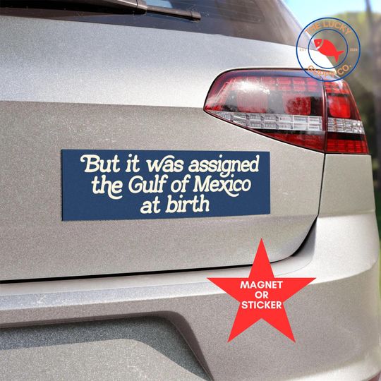 Discover Gulf of Mexico at birth, FDT sticker, idiot president, not my president, deport elon bumper sticker, against fascism car magnet, coexist