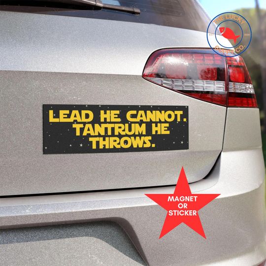 Discover Funny Liberal Bumper Sticker – The Only Minority Destroying This Country Are the Billionaires