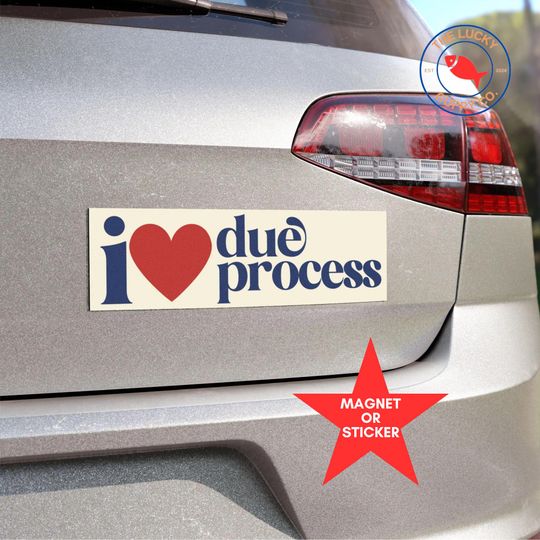 Discover I Love Due Process Bumper Sticker, See You in Court Sticker, Tortured Lawyers Department Sticker