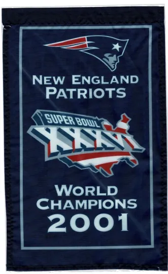 Discover Gillette Stadium 2001 New England Football Banner Super B.owll 36 XXXVI, Flag