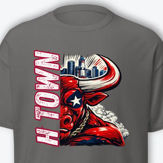 Discover Houston Texans Playoffs T-Shirt Unisex Tee