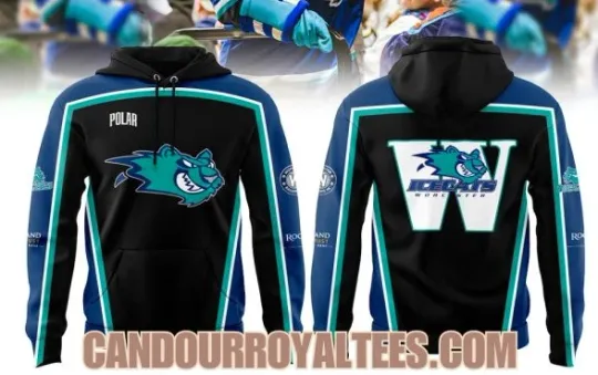 Discover Worcester Railer Ice Cats Night 3D Hoodie Unisex