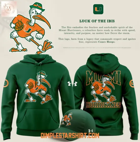 Discover Miami Hurricane Ibis 3D Printed Hoodie