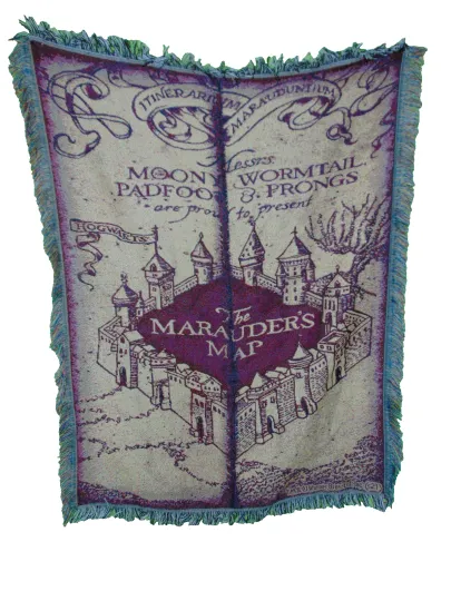 PREOWNED Harry Potter Woven Tapestry Throw Blanket Northwest 46x59 Hogwarts