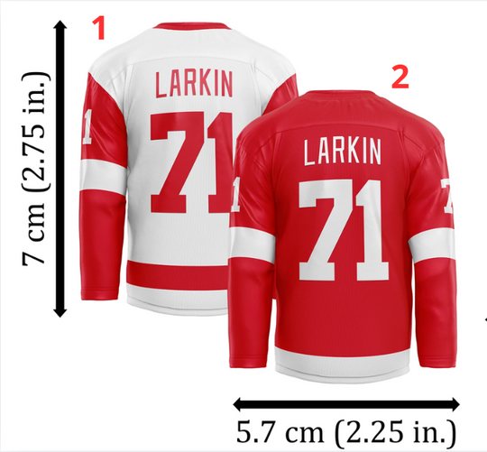 Discover Detroit Hockey Jersey Size XS-5XL Fanmade