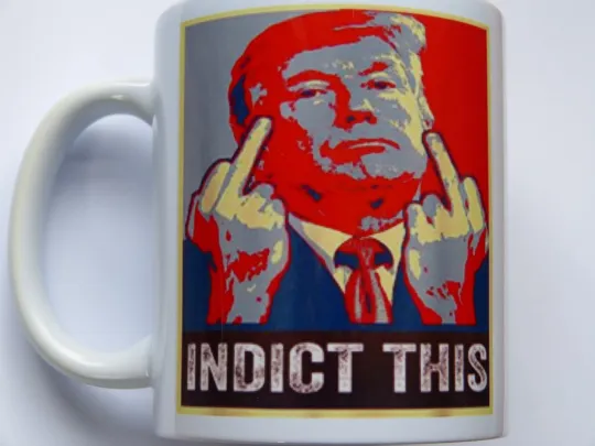 Discover Donald Trump Mug - Indict This - Political Quote Coffee Mug