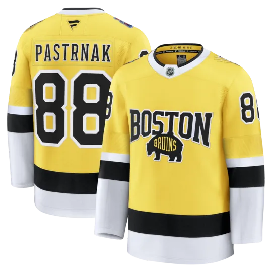 Boston Bruins David Pastrnak #88 Fanatics 2026 NHL Stadium Series Premium Jersey
