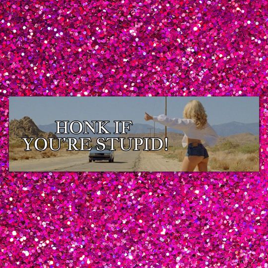 Discover Honk if You're Stupid  Sabrina Carpenter Bumper Sticker | Bumper Magnet | Funny Car Decal Meme