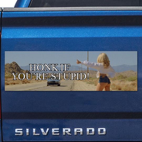Honk If You're Stupid Bumper Sticker Funny Car Decal