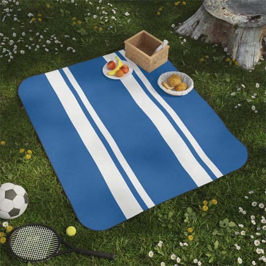 Blue & White Striped Picnic Mat, Timeless Coastal Preppy Park, Beach, Camping, Gift