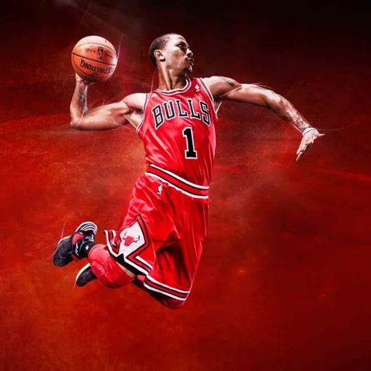 Chicago Bulls Derrick Rose Poster Wall Art Photo Prints 16x16, 20x20, 24x24"
