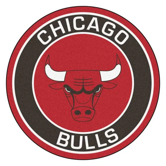 Chicago Bulls Poster Wall Art Home Decor Photo Prints 16, 20, 24