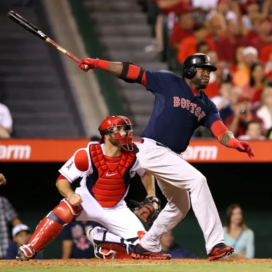 Discover Big Papi David Ortiz Poster Wall Art Home Decor Photo Prints 16, 20, 24"