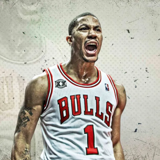 Discover Derek Rose Poster Wall Art Home Decor Photo Prints 16x16, 20x20, 24x24"