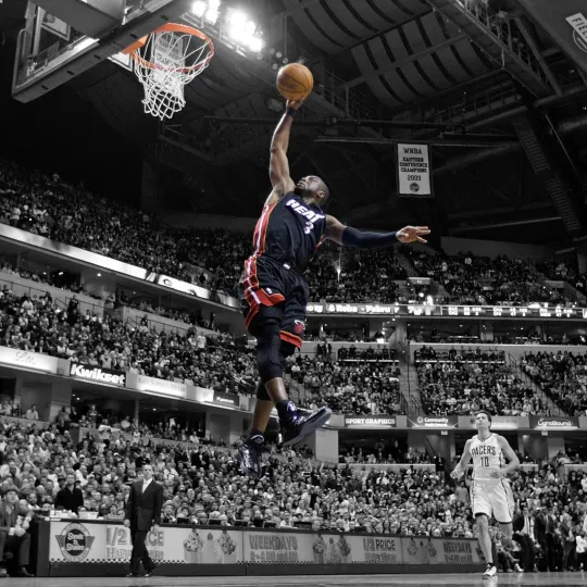 Discover Dwayne Wade Poster Wall Art Home Decor Photo Prints 16x16, 20x20, 24x24"