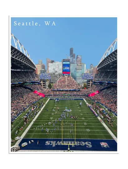 Discover Seattle Seahawks Poster Stadium Art Print Football Gift 12x16"