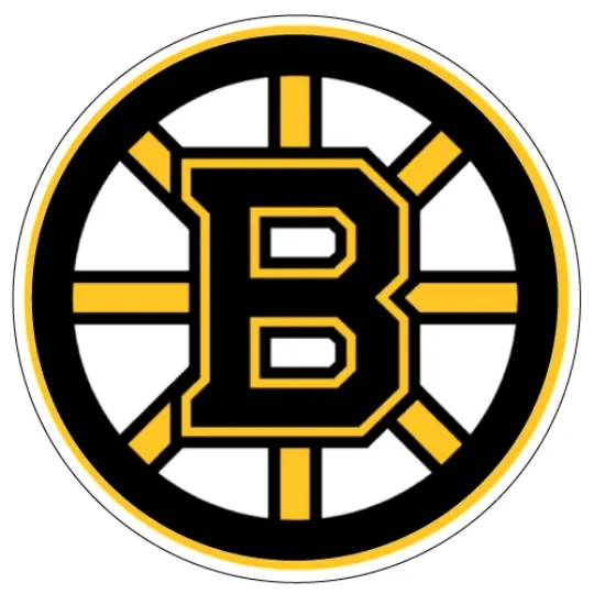 Boston Bruins Hockey Team Logo Sticker