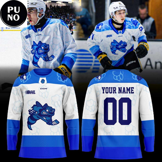 Discover Sarnia Sting x Lions Night at the Hive 2026 Personalized Hockey Jersey