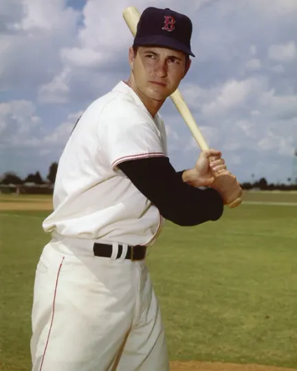 1967 Boston Red Sox CARL YASTRZEMSKI Glossy 8x10 Photo Print Poster HOF 89