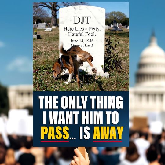 Discover Anti-Trump Protest Sign  Witty Political Rally Printable (Digital Download)