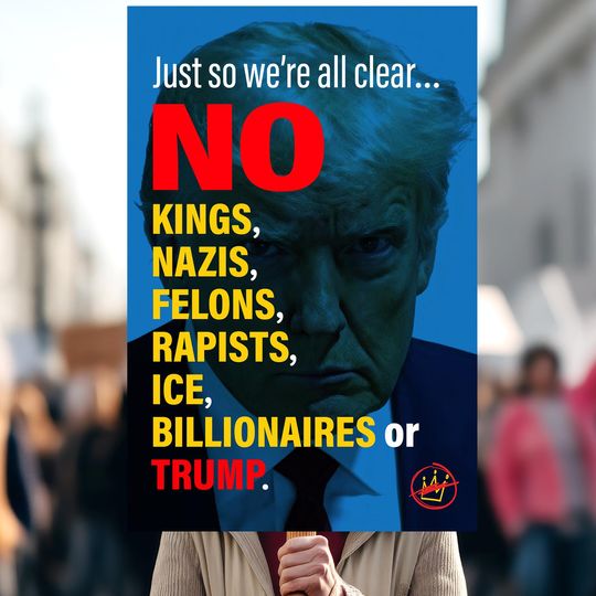 Discover Anti-Trump Protest Sign  No Kings, Nazis, Felons