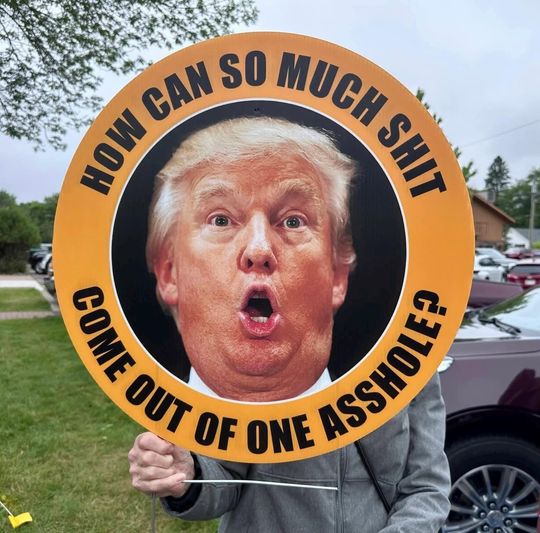 Discover No Kings Anti Trump Yard and Protest Sign, Political humor, 23 diameter