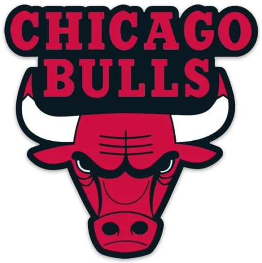 Chicago Bulls Logo Die-Cut Magnet