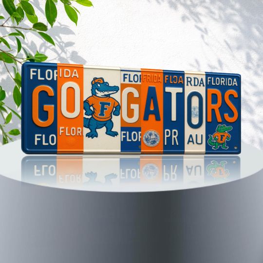 Discover GO GATORS License Plate Sign Florida Gators Metal Wall Art