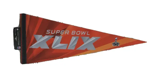 Seattle Seahawks vs Patriots Dueling Premium Felt Super Bowl XLIX Pennant