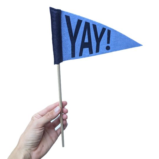 Discover Yay! Mini Pennant, 4x7 Inch Small Flag on Stick