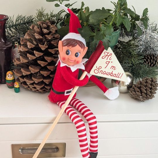 Discover Custom Tiny Elf Pennant- Personalize With Your Elf or Child's Name