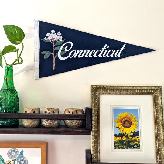 Discover Connecticut State Flower Pennant Flag - "Mountain Laurel