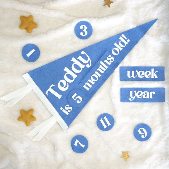 Discover Custom Baby Milestone Photo Kit | 9x18 inch Personalized Felt Pennant Flag with Ties