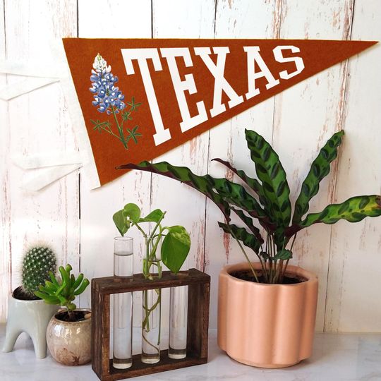 Discover TEXAS PENNANT | "Texas Bluebonnnet" State Flower | Texas Pride Gift & Decor
