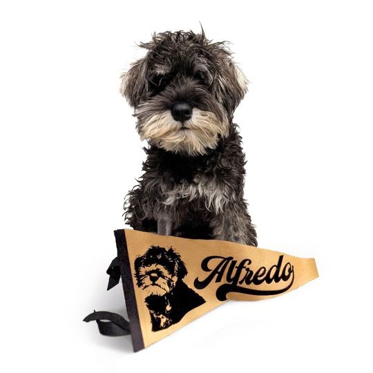 Discover Custom Pet Portrait Pennant: Personalized Dog or Cat Felt Flag