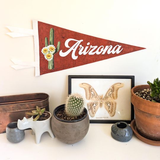 Discover Arizonna PENNANT | "Saguaro Blossom" State Flower | Arizonna Southwestern Pride Gift & Decor