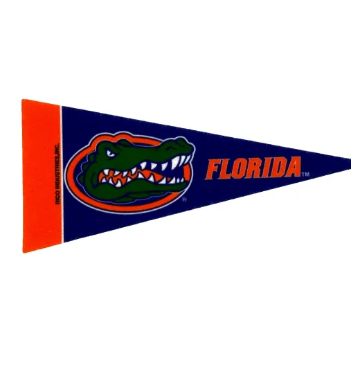 Florida Gators Pennant NCAA SEC Flag Football Basketball Decor