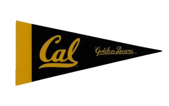Discover California Golden Bears Cal Mini Felt Pennant Basketball Decor