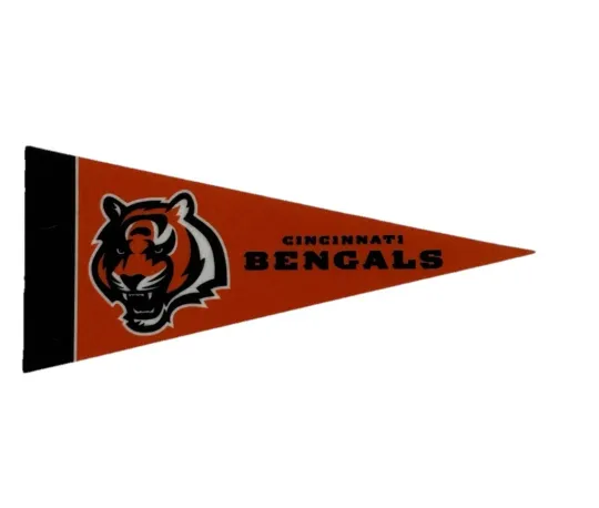 Cincinnati Bengals Pennant Football Flag Decor