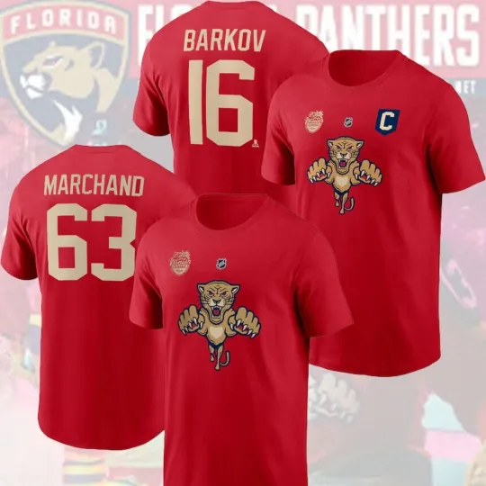 Discover Florida Panth Hockey Team 2026 Winter Classic Inspired Stack Name & Number