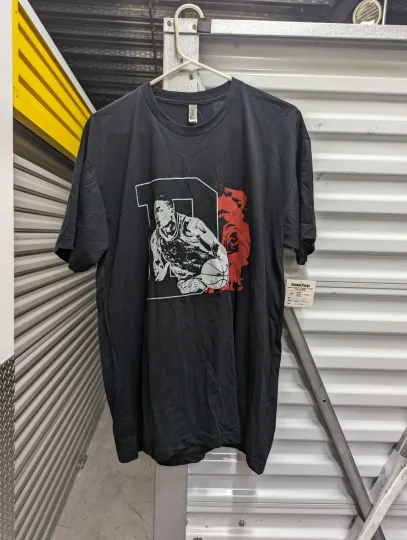 Discover NBA ALL STAR DERRICK ROSE, VINTAGE GRAPHIC T-Shirt