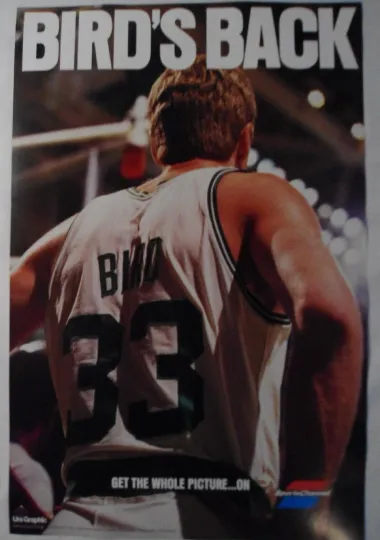 LARRY BIRD  ORIGINAL BIRDS  BACK   POSTER  BOSTON  CELTICS   VERY GOOD CONDITION