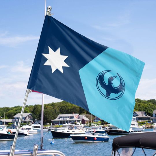 Minnesota Resistance House Flag, Anti-ICE Protest Banner, Equality & State Pride, Minnesota Strong Flag, Stand with Minnesota