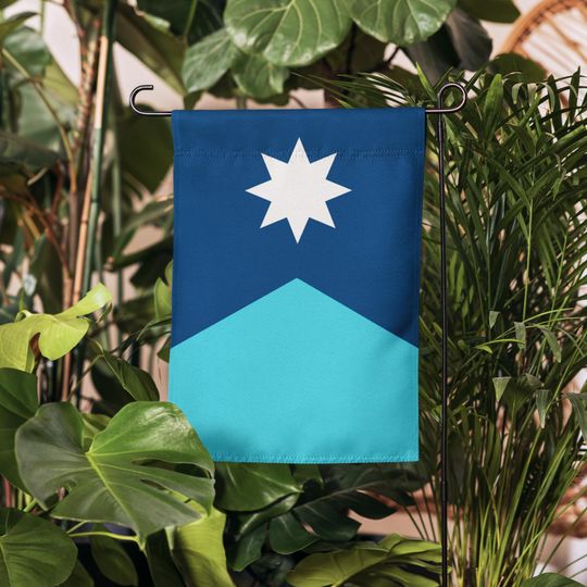 Discover Minnesota Garden & House Banner New Minnesota State Flag ICE OUT Abolish ICE Flag