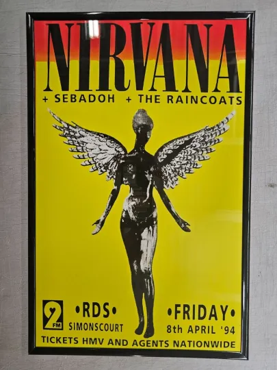 Discover Nirvana 1994 Dublin Ireland Concert Poster