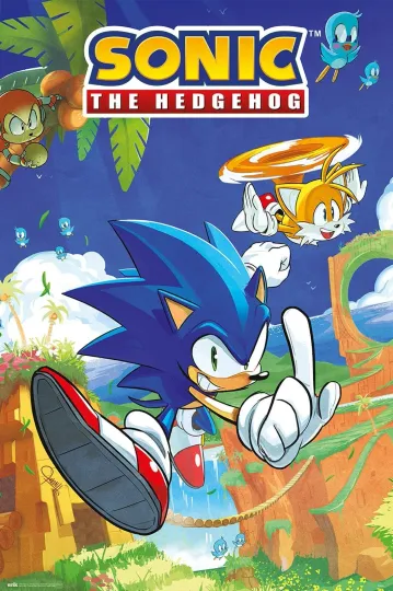 Discover Large Sonic The Hedgehog Gaming Poster