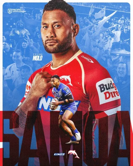 Discover Dolphins nrl RUGBY TEAM player POSTER,BEST BARGAIN,CHAMPIONS,1