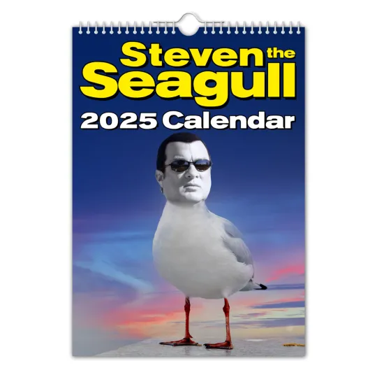 Discover 2025 Calendar - Steven the Seagull - Funny - Quirky - Christmas - Birthday